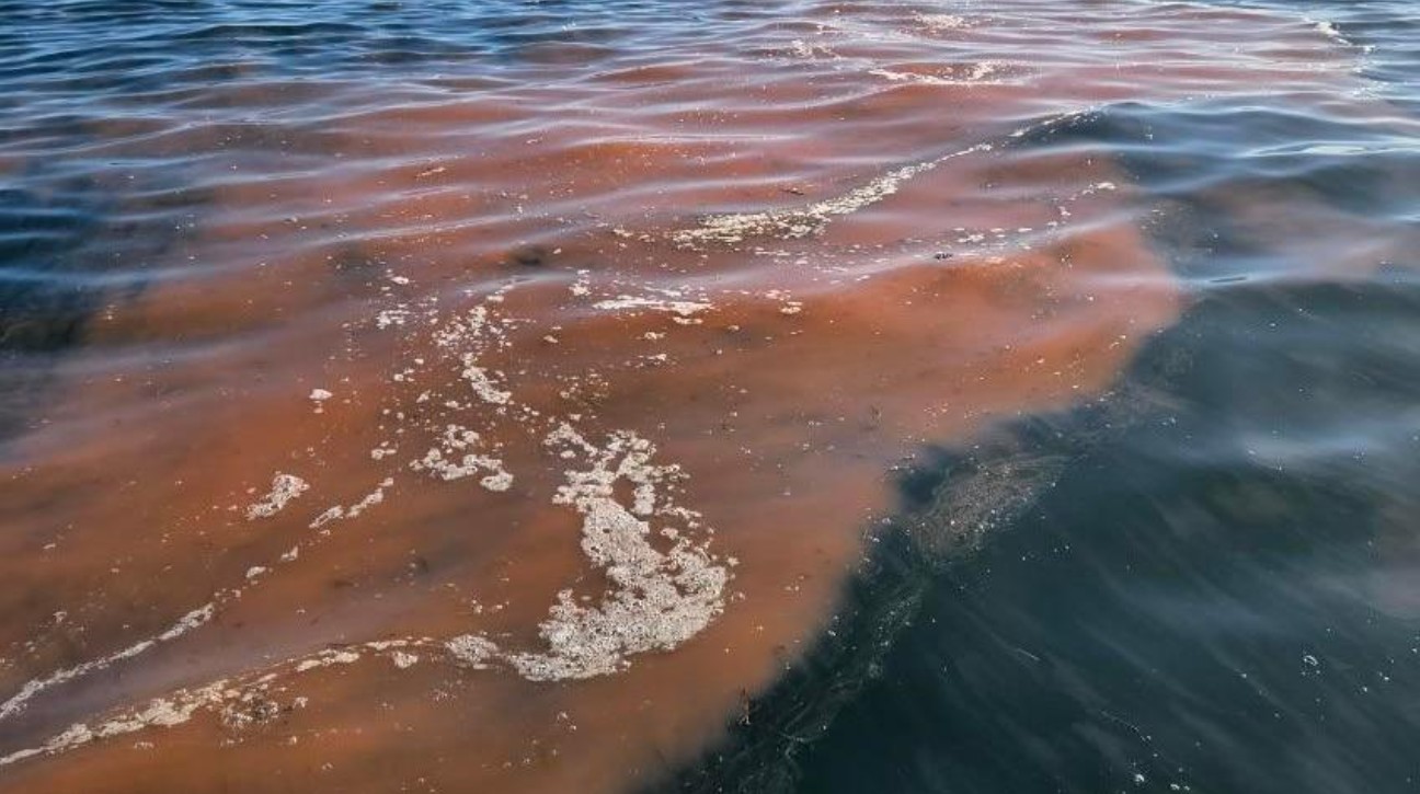 Screenshot 2025 09 01 132737 1