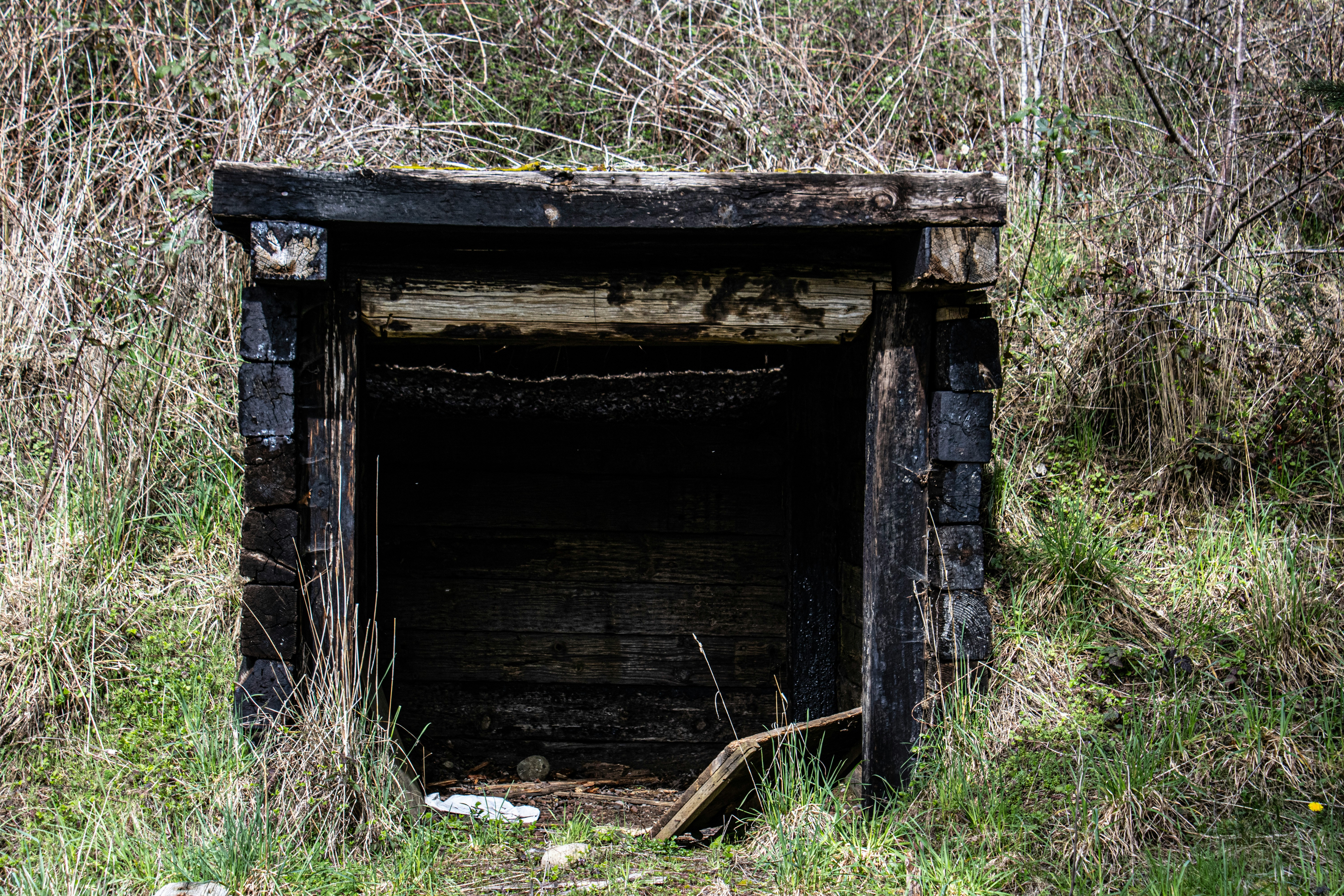 peter robbins MDdcnvbYiko unsplash